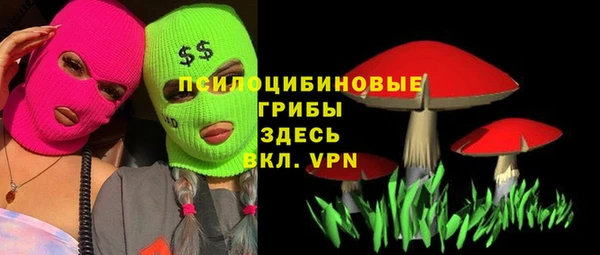 гидропоника Верея
