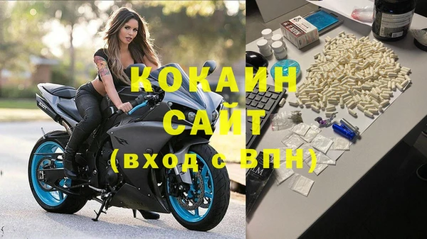 индика Волосово