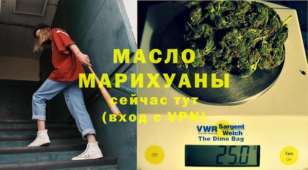 индика Волосово