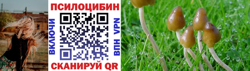 Галлюциногенные грибы мицелий  Вышний Волочёк 